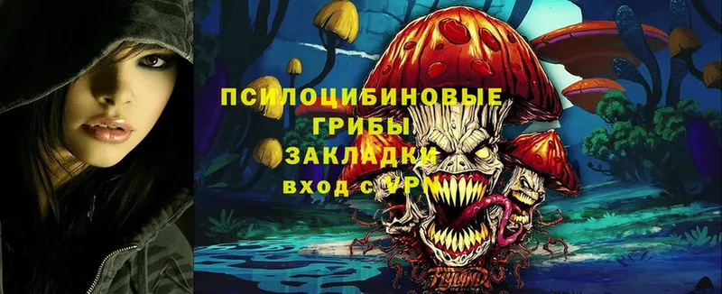 Галлюциногенные грибы MAGIC MUSHROOMS  наркота  Камешково 